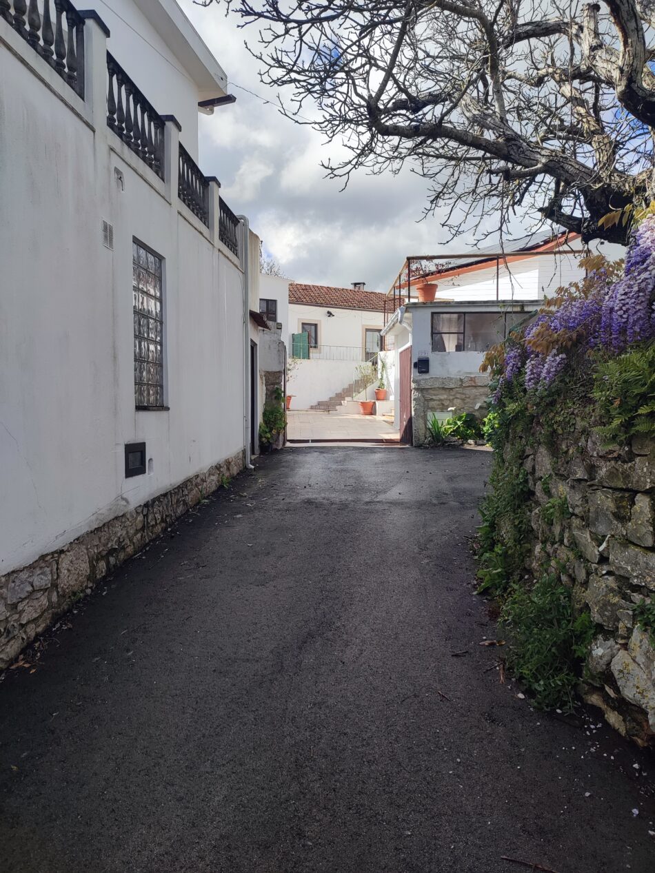 Driveway