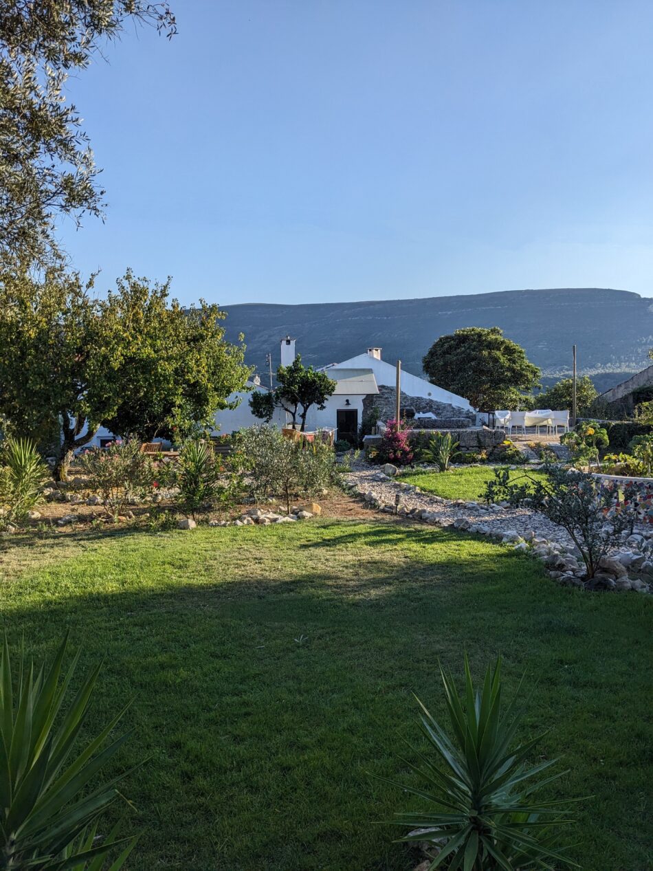 The Garden